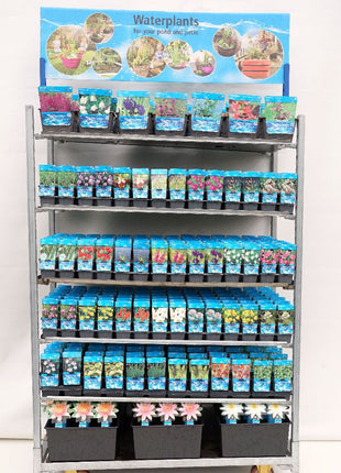 Water Plants